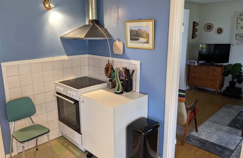 Austvagsoya House | Sommarhus i Lofoten