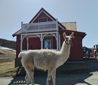 Holtalen House | Sommerstue Hessdalen