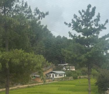Paro Apartment | Sompal Serviced Apartment