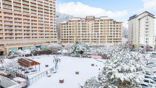 Seo Resort | Sono Pet Clubs & Resorts VivaldiPark