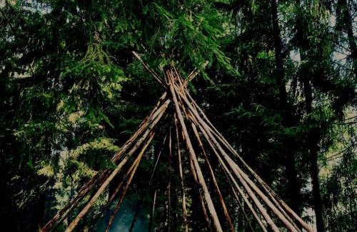 Antsla Parish House | Soomaa Forest Hut