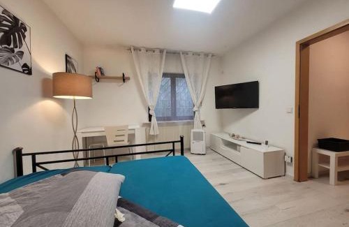 Viernheim Apartment | Souterrainwohnung
