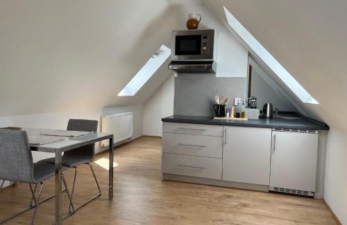 Hostka Apartment | Sova