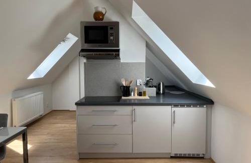 Hostka Apartment | Sova