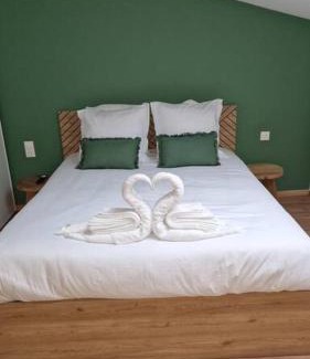 Bar-le-Duc Apartment | Spa des ducs loft 1