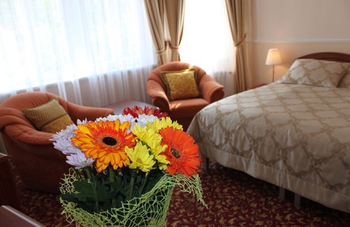 City Centre Hotel | SPA hotel Purkyně