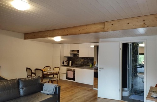 Les Paccots Apartment | Spacieux studio 38m2