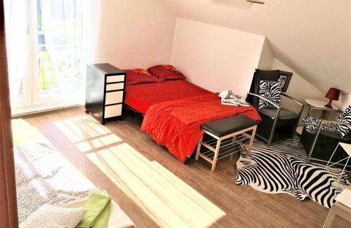 Bossonnens Apartment | Spacious Apartment 3.5 with Swimmingpool