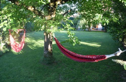 La Tour-du-Meix Apartment | Spacious apartment in old farm close to Lac de Vouglans