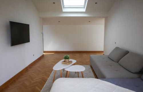 Saint - Martin - du - Touch Apartment | Spacious apartment of 90 m2 in Toulouse