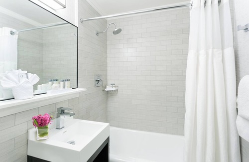 Downtown Boston Hotel | Spacious Downtown Room Close to Public Transports | Pets Are Allowed