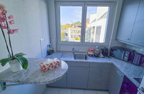 District 8 Apartment | Spacious Duplex apartment with fantastic lake view just 5 minutes from Zurich