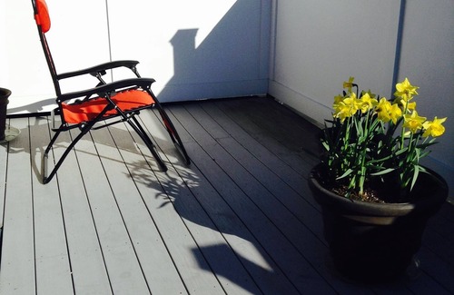 Watertown House | Spacious house minutes from Harvard Square.