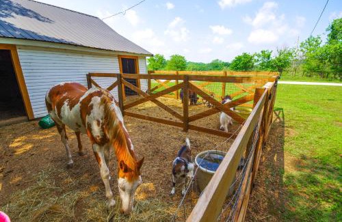Greenfield House | Spacious Missouri Vacation Rental with Fire Pit!