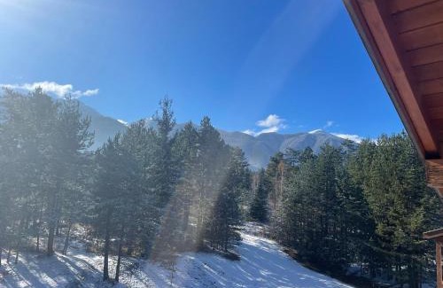 Razlog Apartment | Spacious penthouse chalet apartment in Pirin Golf and Country Club