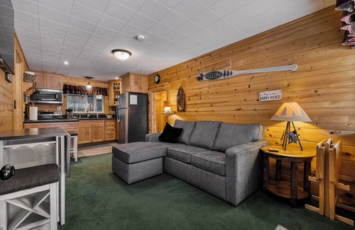 Peninsula Village Cabin | *Special* Cozy Lakeside~Lake Almanor~BoatRamp~Pets~Family Fun