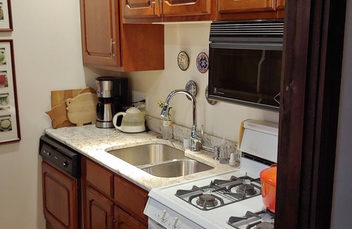 Bromley Mountain Condo | Spectacular 50 Radius Year Round Mountain View - 3+ Bedroom Townhouse