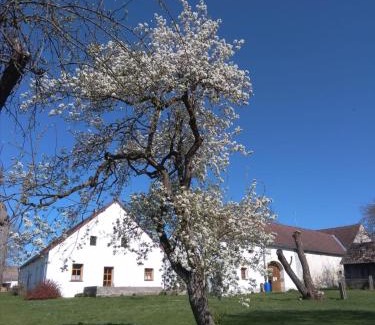 Kaclehy Apartment | Spejchar Kaclehy