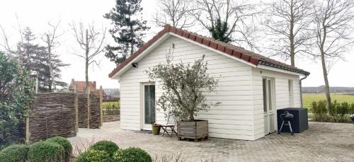 Eede House | Spitsbroek
