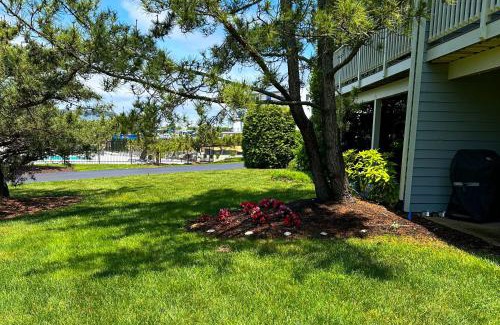 Rehoboth Beach Apartment | Spring Lake - 20784 East Dr Unit 503