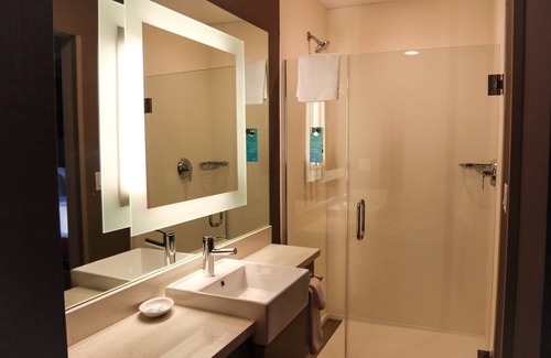 Middle River Hotel | SpringHill Suites Baltimore White Marsh/Middle River