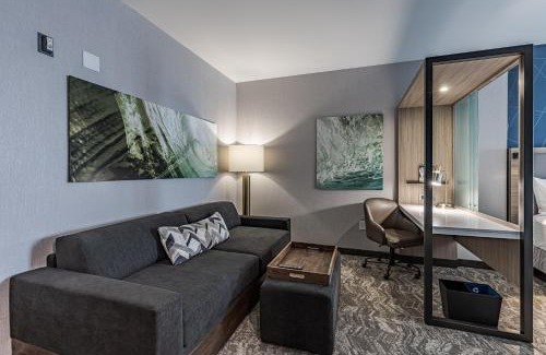 Saint Marys Allen County Hotel | SpringHill Suites by Marriott Fort Wayne Southwest