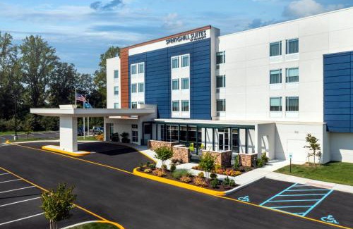 Dover Hotel | SpringHill Suites by Marriott Frederica