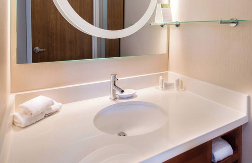 South Side Flats Hotel | SpringHill Suites by Marriott Pittsburgh Southside Works