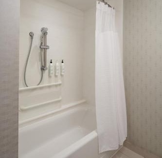 Ridley Park Hotel | SpringHill Suites by Marriott Philadelphia Airport/Ridley Park