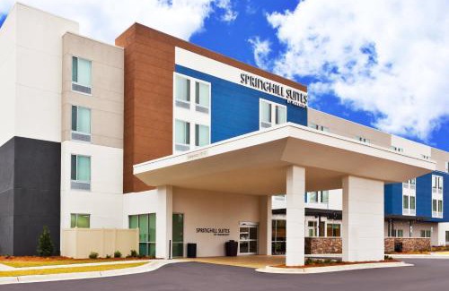 Millbrook Hotel | SpringHill Suites by Marriott Montgomery Prattville/Millbrook