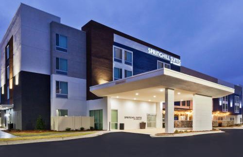 Millbrook Hotel | SpringHill Suites by Marriott Montgomery Prattville/Millbrook