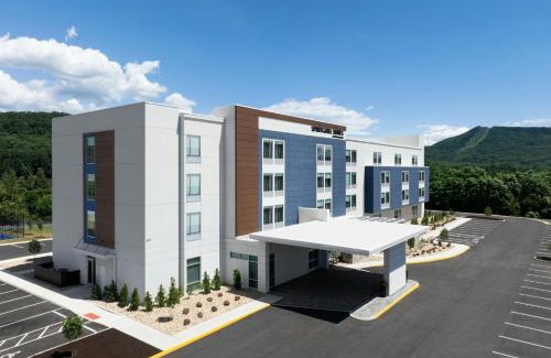 Hollins Hotel | SpringHill Suites by Marriott Roanoke North