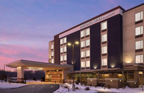 Center Valley Hotel | SpringHill Suites by Marriott Allentown Bethlehem/Center Valley