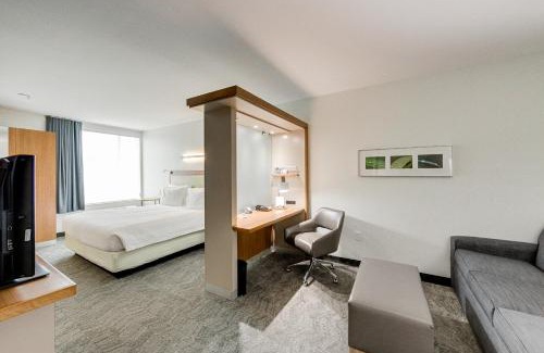College Park Hotel | SpringHill Suites by Marriott Houston The Woodlands