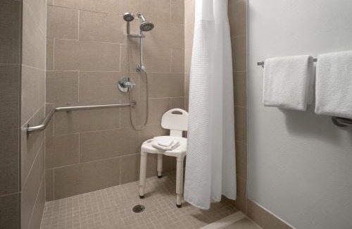 North Arlington Hotel | SpringHill Suites Dallas Arlington North
