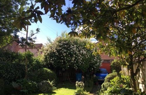 Sefton Park Bed & Breakfast | Square Tree House Hotel