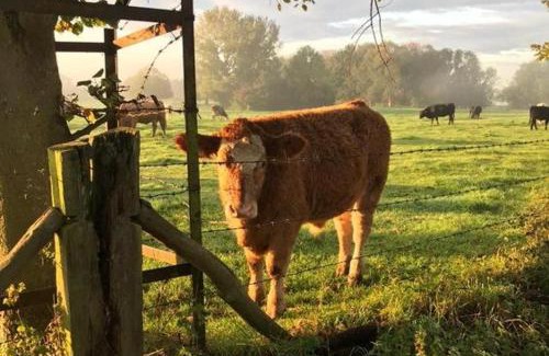 Long Melford Bed & Breakfast | St Catherines Cottage The Old Schoolhouse