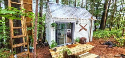 Brantingham House | Stabbin Cabin #2 on Grant Island - Hot Tub, Boat, Pet Friendly