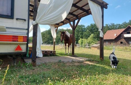 gmina Dabrowa Other | Stajnia Karczów