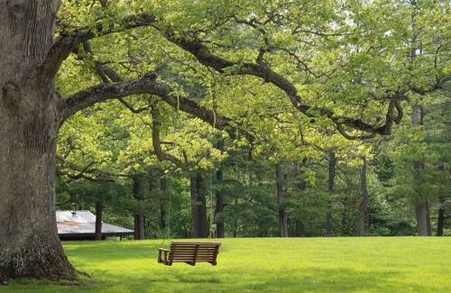 Triumph Cabin | Stand Alone cabin with Whirlpool Tub, Full Kitchen & Fire Pit Near Starved Rock