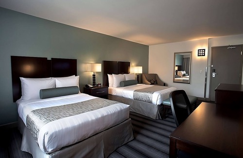 Downtown Chicago Hotel | Stay in Heart of Chicago | Rooftop Deck, Gym and Near Millennium Park