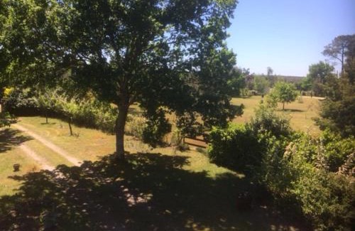 Lesperon Apartment | Stemicar dans les Landes