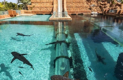 Paradise Island Villa | Steps from Atlantis Waterpark + Passes for 10 Guests at Harborside Resort