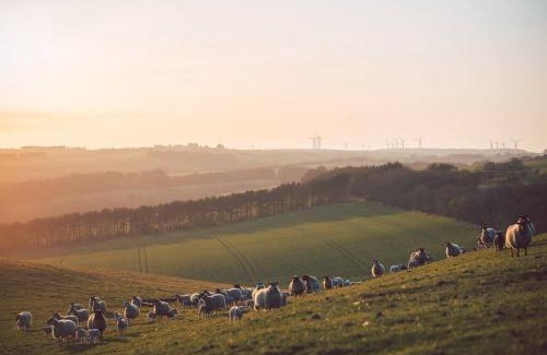 Eyemouth House | Stewards Cottage, Press Mains Farm Cottages