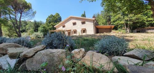 Serravalle Pistoiese Apartment | Stirpe nel Bosco - Allocco