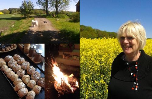 Tomelilla Municipality Bed & Breakfast | Stora Topphem