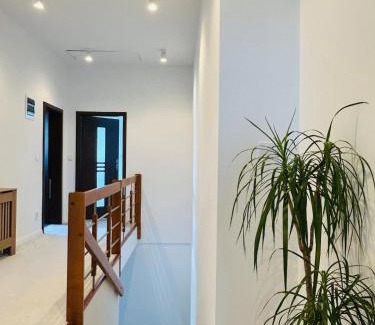Gmina Witkowo Apartment | Strzyzewo Witkowskie Luxury Apartment