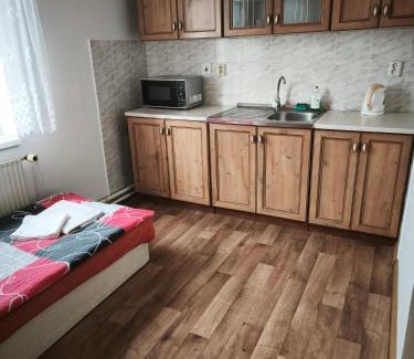 Liberec House | Studánecký Medvěd