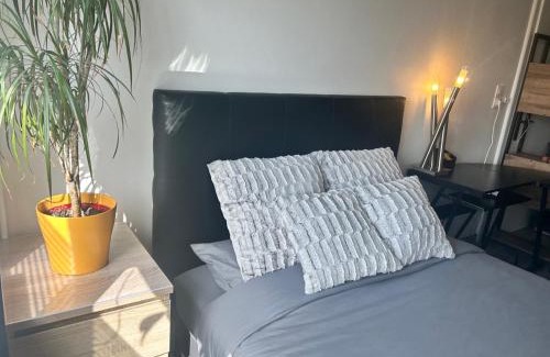 Basse-Ham Apartment | Studio 40m2 Quartier Résidentiel à 7mn Thionville et proche CNPE