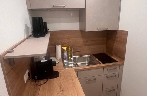Creidlitz Apartment | Studio Apartment 'Ferienwohnung 1 Coburg-Creidlitz' with Private Terrace